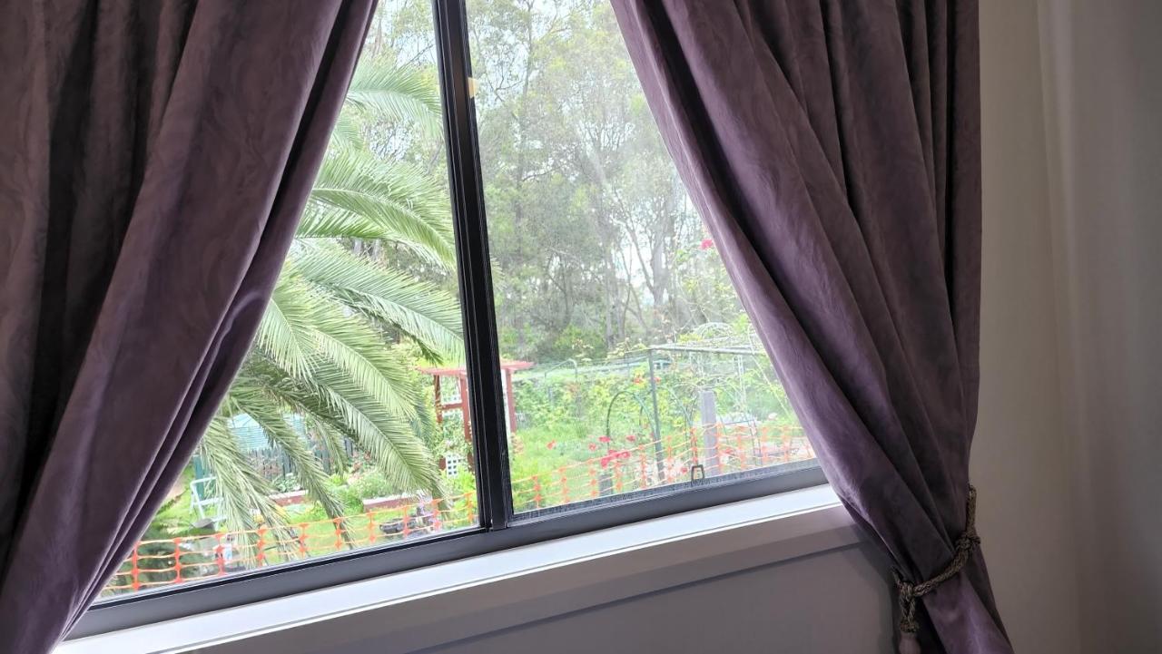 Gowrie Agapanthus Daire Singleton Dış mekan fotoğraf